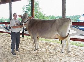 fair