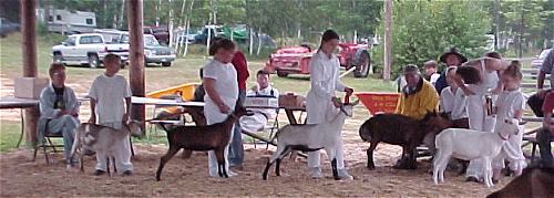 Novice Class