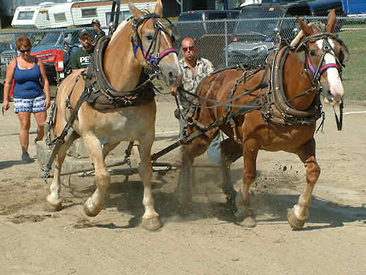 2011 Saturday