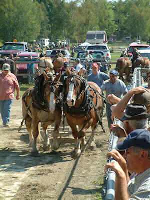 2011 Saturday