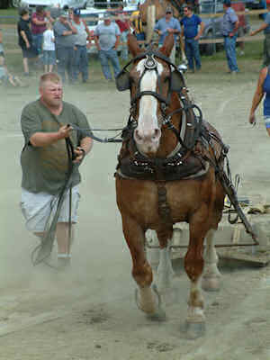 2011 Saturday